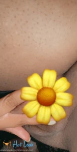 2073320