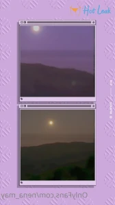 7784229