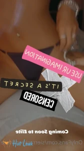 10687656