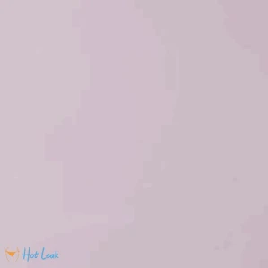 4808248