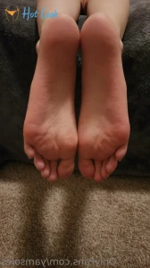 11325225