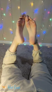 11325232