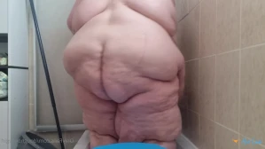 2546387