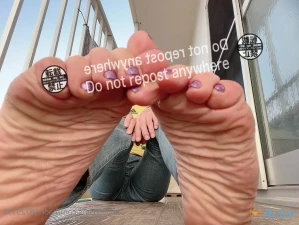 2547175