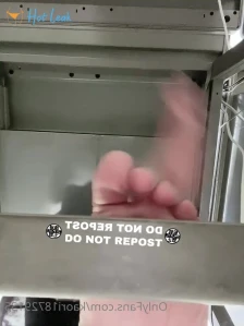 2547202