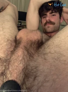 2374175