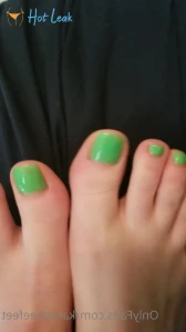 2550919