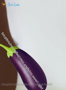 3997028