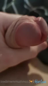 2799615