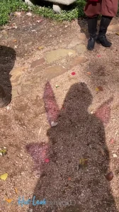 11374993