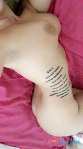 2313604