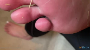 2555798
