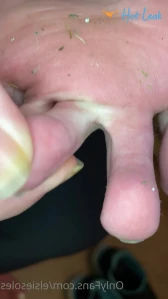2555801