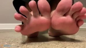 2555803
