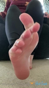 2555816
