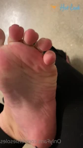 2555818