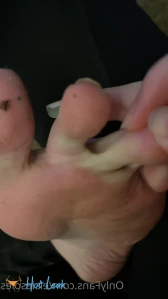 2555824