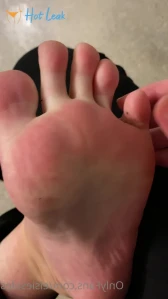 2555833
