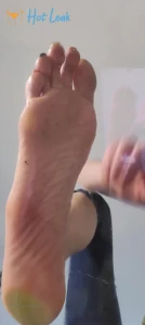 2556097