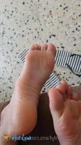 2556114