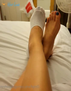 11254239