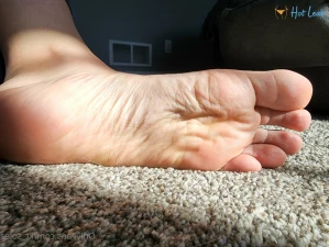 11250289