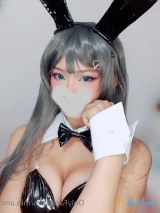 3818267