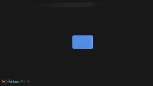 2559775