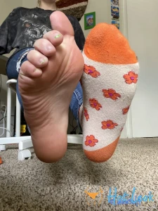 11653388