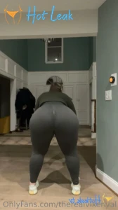 11847504