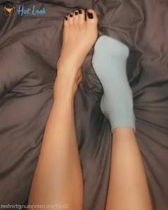 3625647