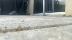 2806759