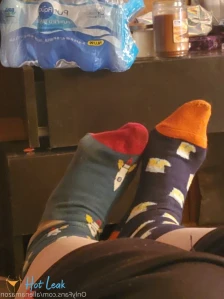 3793497