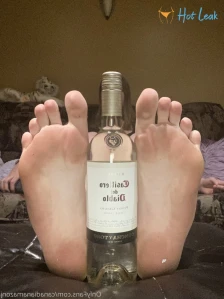 9900848