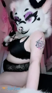 2563193