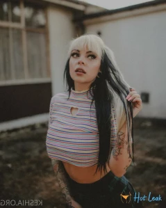 2294201