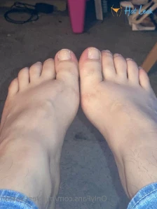 2293641
