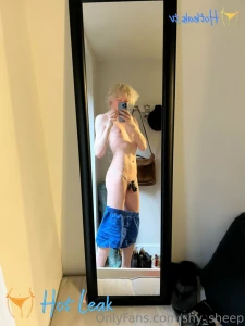 11887311