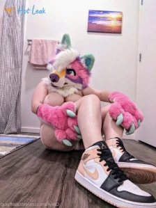 3662197