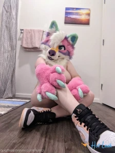 3663713