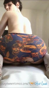 3652184