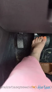 9120810