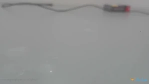 2184256