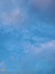 7693421
