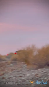 2824214