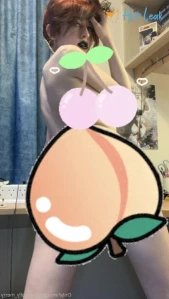 3741732