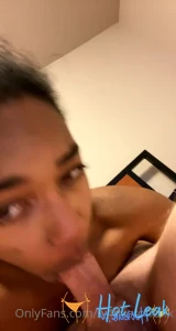 11733747