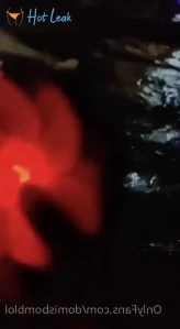 4838884