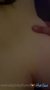2195566