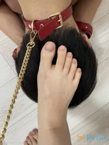 4011801